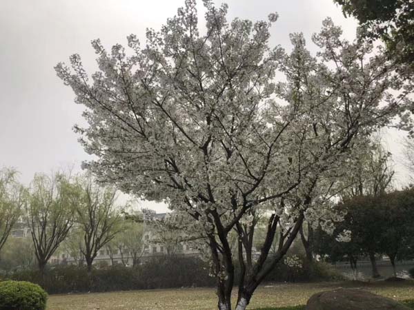 福田區(qū)離婚律師帶您走進(jìn)離婚后的房產(chǎn)爭議案件