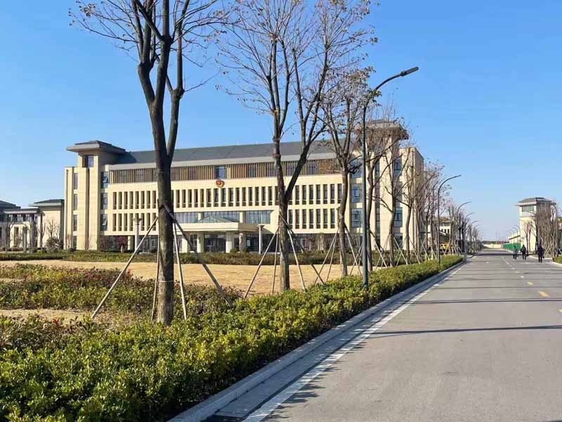 配偶一方的借款什么時候能被確認為共同債務？深圳婚姻律師告訴您