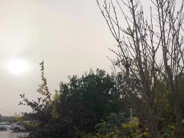 如何向外國配偶索要撫養費？深圳涉外婚姻律師為您講解