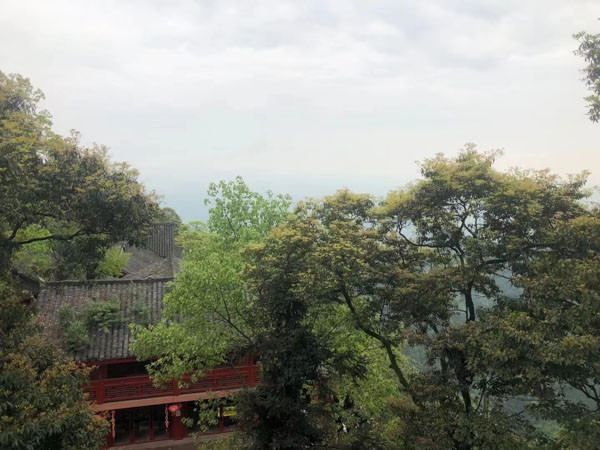 遺贈撫養的義務是什么？看看深圳婚外情離婚律的講解！