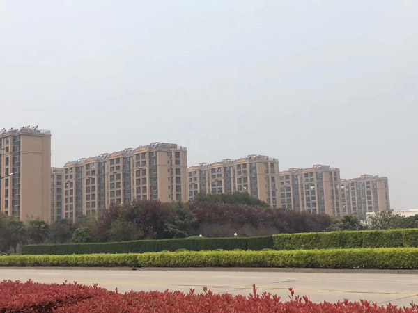 深圳婚姻律師:遺產繼承分配的原則以及發生繼承糾紛如何解決