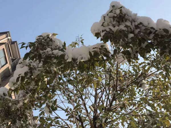 離婚財產分割爭議不斷怎么辦？寶安婚姻律師帶您了解