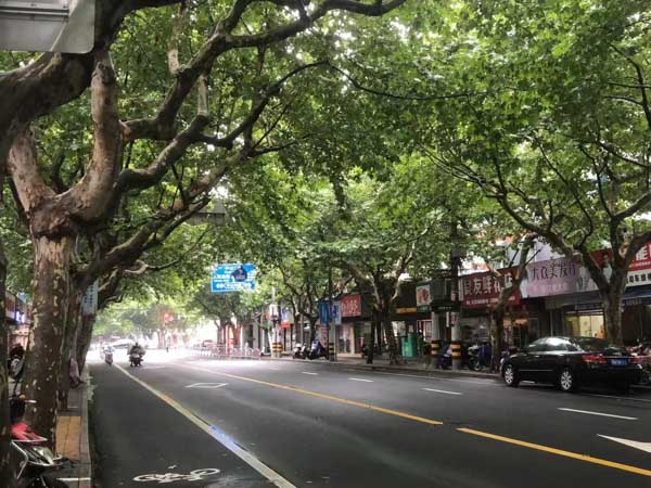非法同居生下的孩子與婚生子女權(quán)利是否一樣深圳離婚律師解析